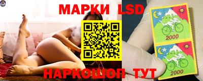 индика Краснознаменск