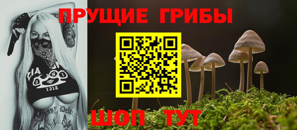 Галлюциногенные грибы мицелий  Вход с VPN  Галлюциногенные грибы мухоморы  Вичуга 